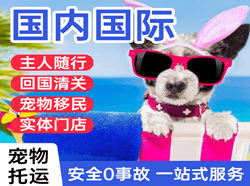 柳州白莲空运地址国际宠物托运 【国